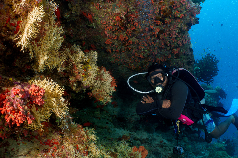 Dive into something new