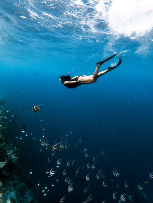 Kendhoo house reef · Fasdheythere Maldives