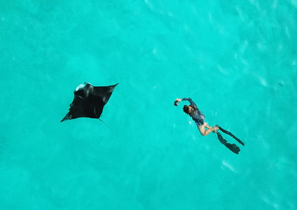 5 boat dives · ocean experience inspiration